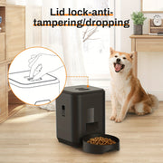 description_selected4