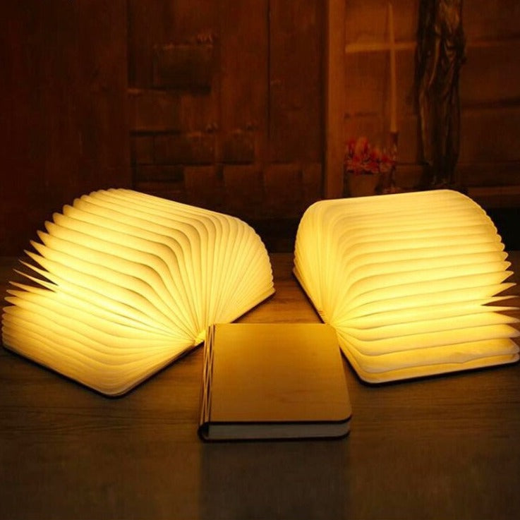 LED book lamp in use