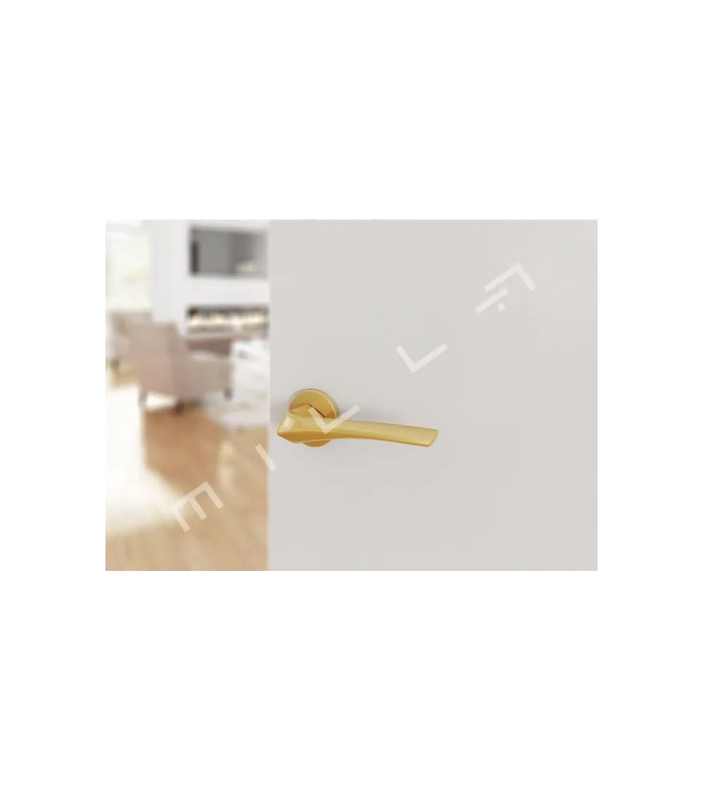 DALIA Matt Gold Door Handle Pair