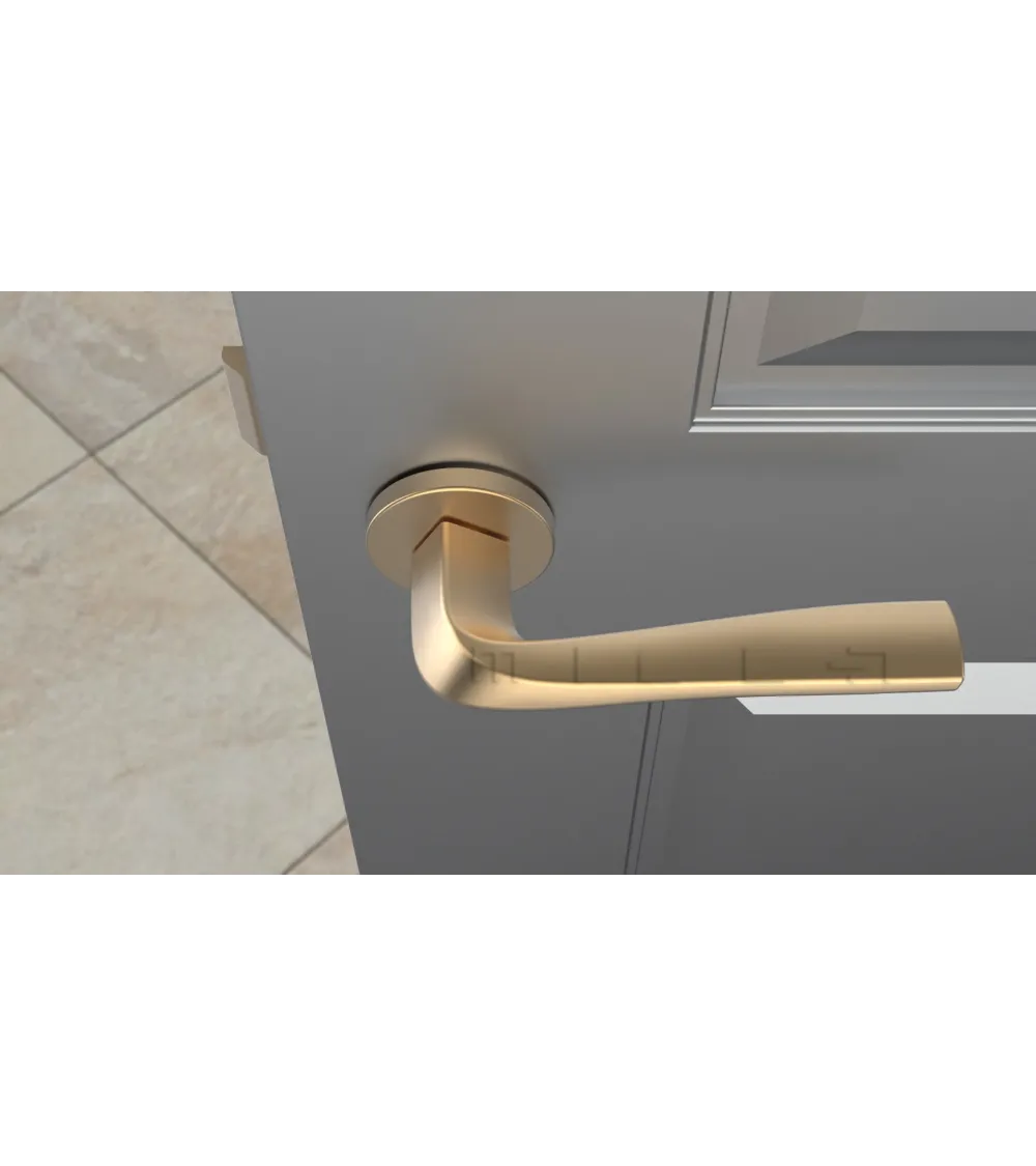 DALIA Matt Gold Door Handle Pair