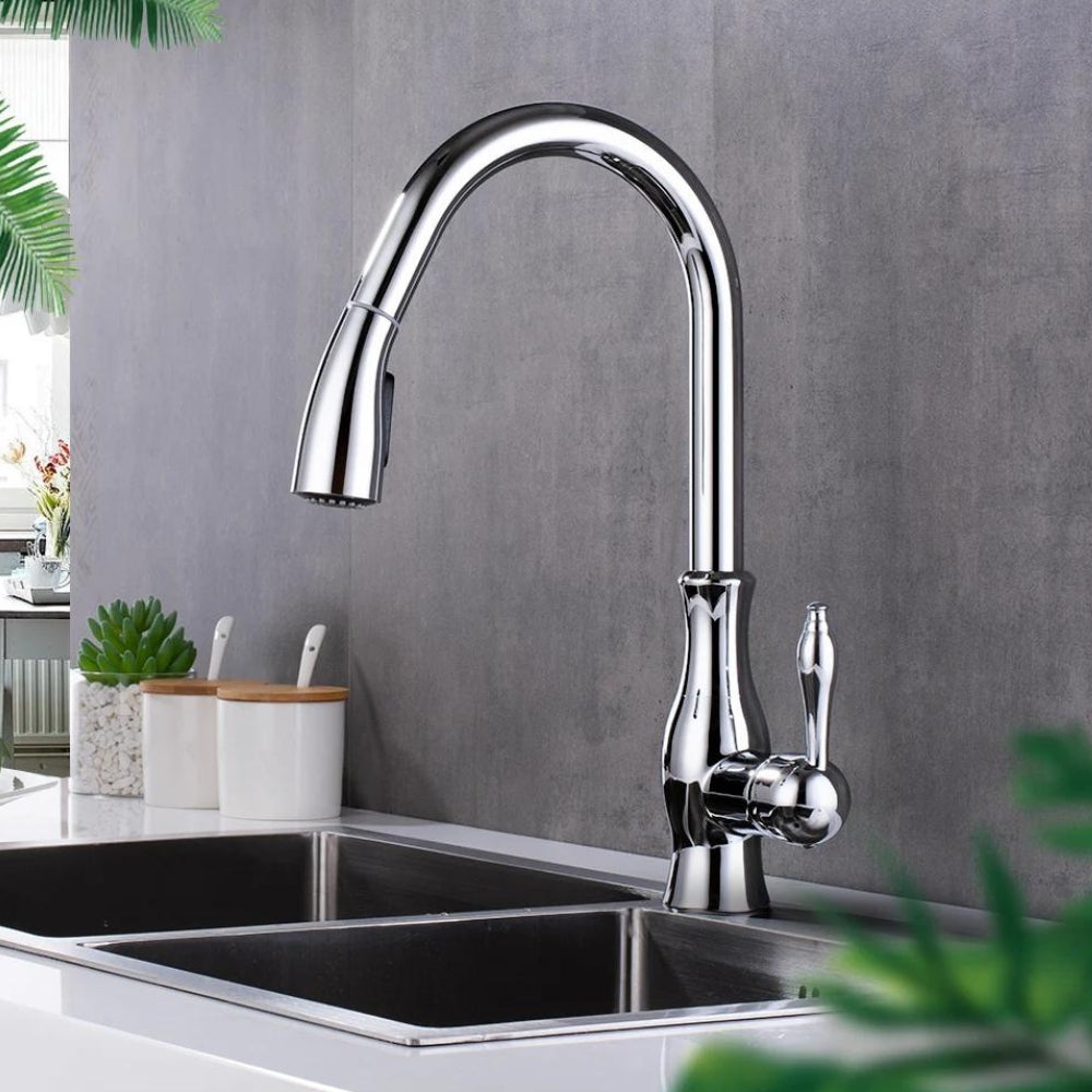 Pull-out kitchen mixer tap 2